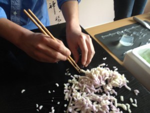 photo (13)x